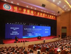 中醫(yī)藥國際化：處理好“小”與“大”的關系